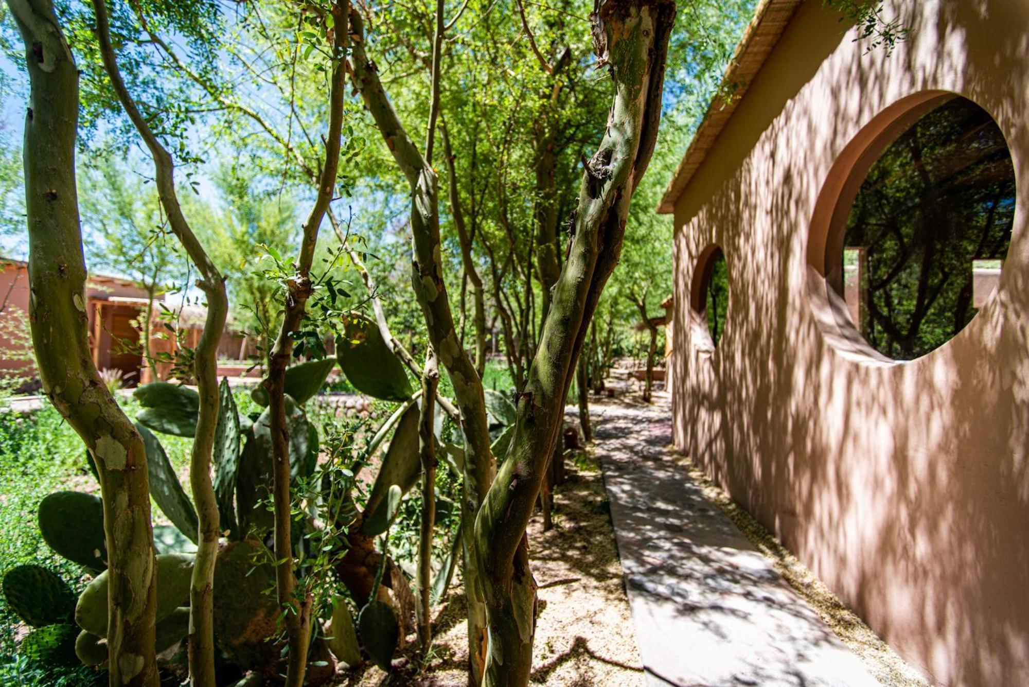 Naturalis Hotel San Pedro de Atacama Dış mekan fotoğraf